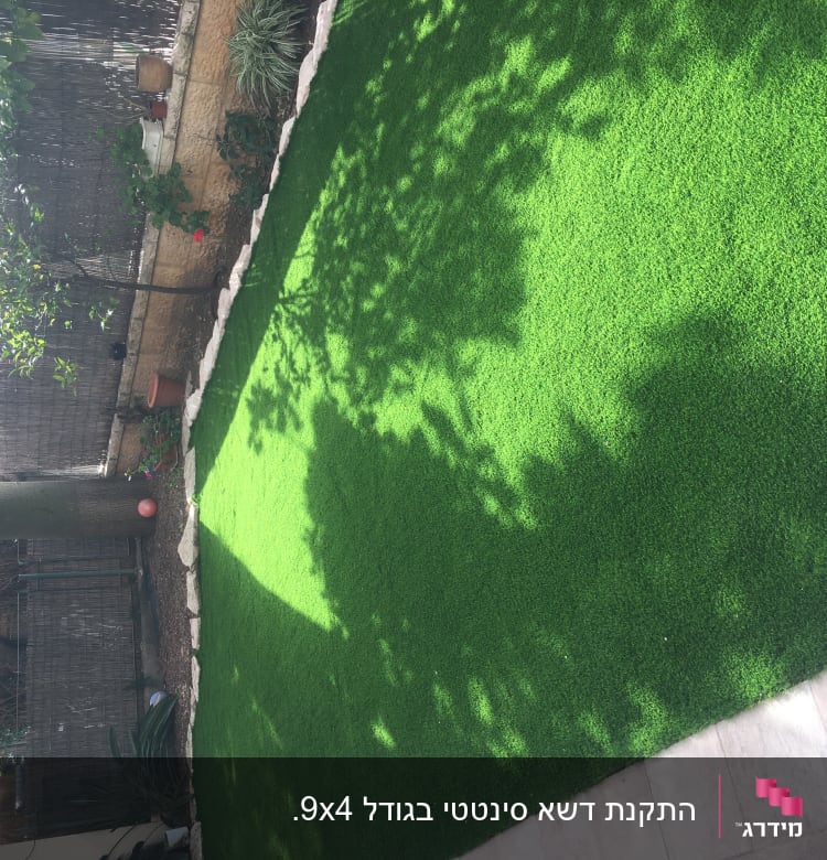 דשא ירוק, עציצים ועץ בגינה